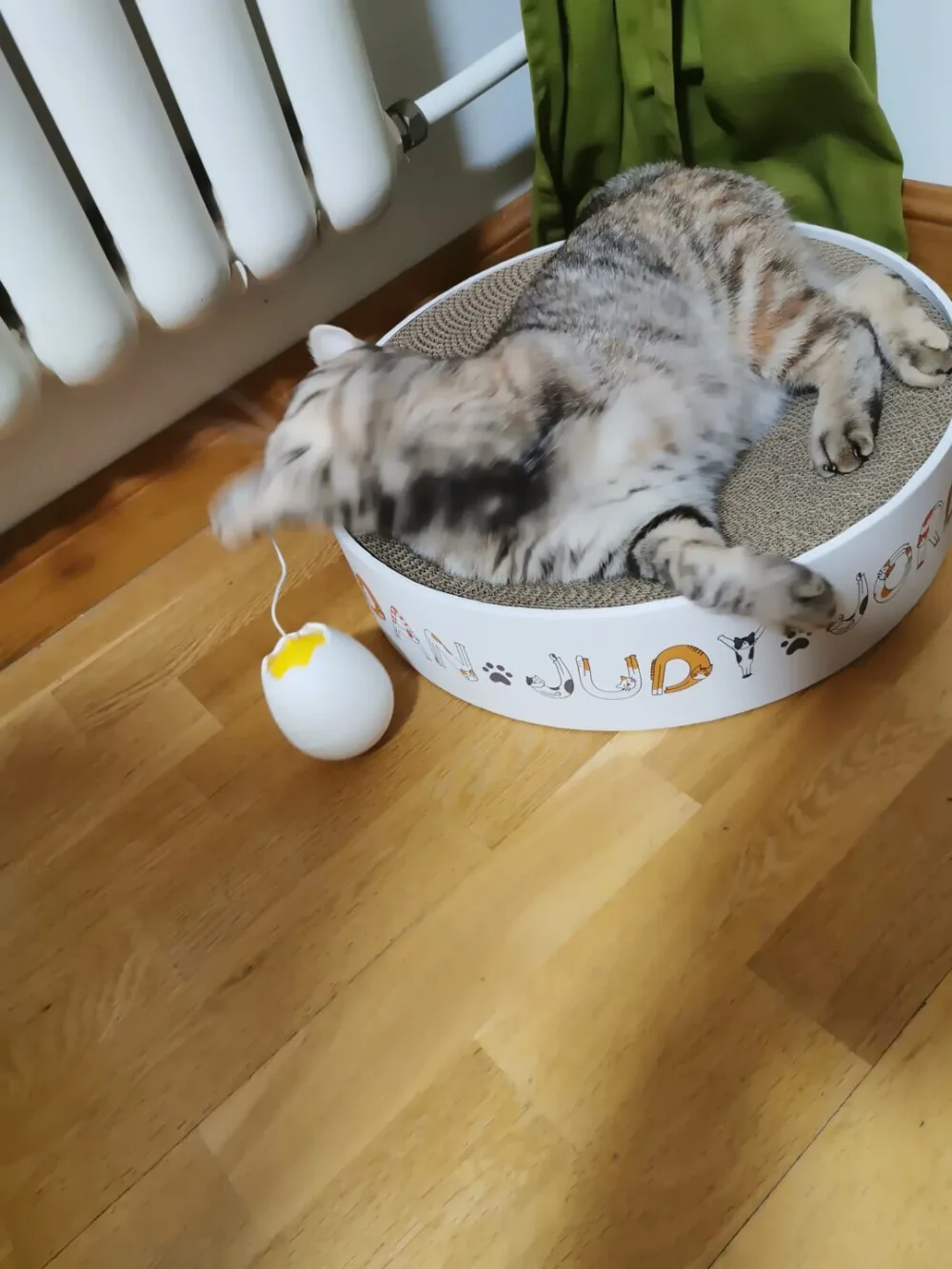 Xiaomi Mijia Pet Smart Electric Companion Ball  (8)