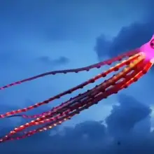 Летающий большой осьминог papalotes pulpo рыбный флаг Радуга воздушный змей livre мягкий воздушный змей взрослый гигантский воздушный змей большой Рипстоп нейлон cometas grandes