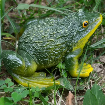 

Creative garden simulation frog statue, Resin modern art sculptures, Horticulture potted ornaments，Home decoration crafts