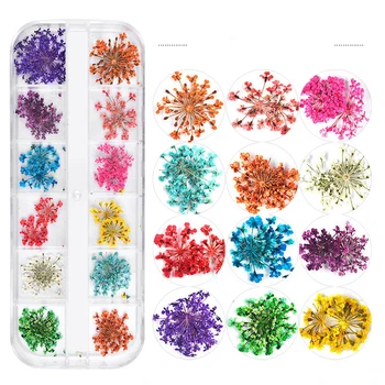 

1PC Nail art Dried Flowers Leaf Nail Decals sticker Decoration Manicure Natural Sticker Dry flower for acrylic UV Gel Polish DIY