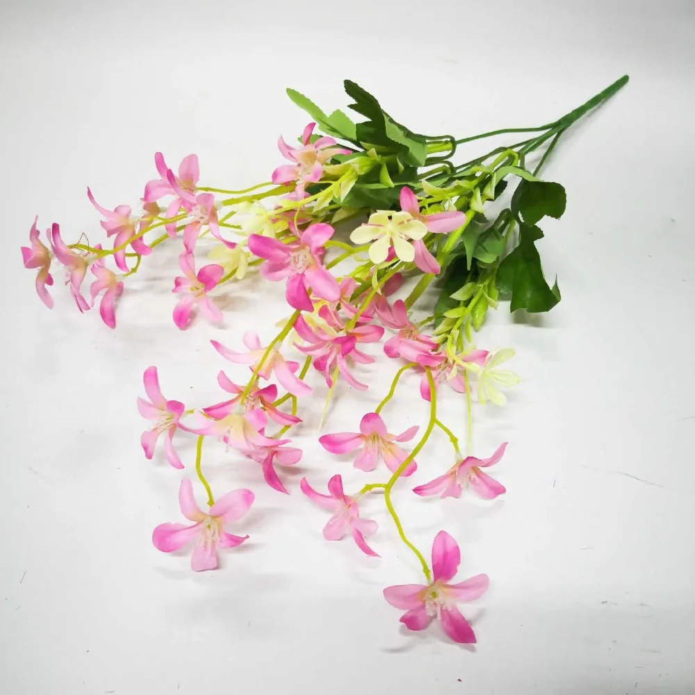 11138506805_1360793890