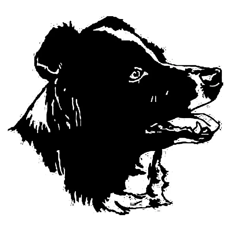 Автомобильная наклейка Border-Collie стикер на машину с собакой ПВХ Стайлинг