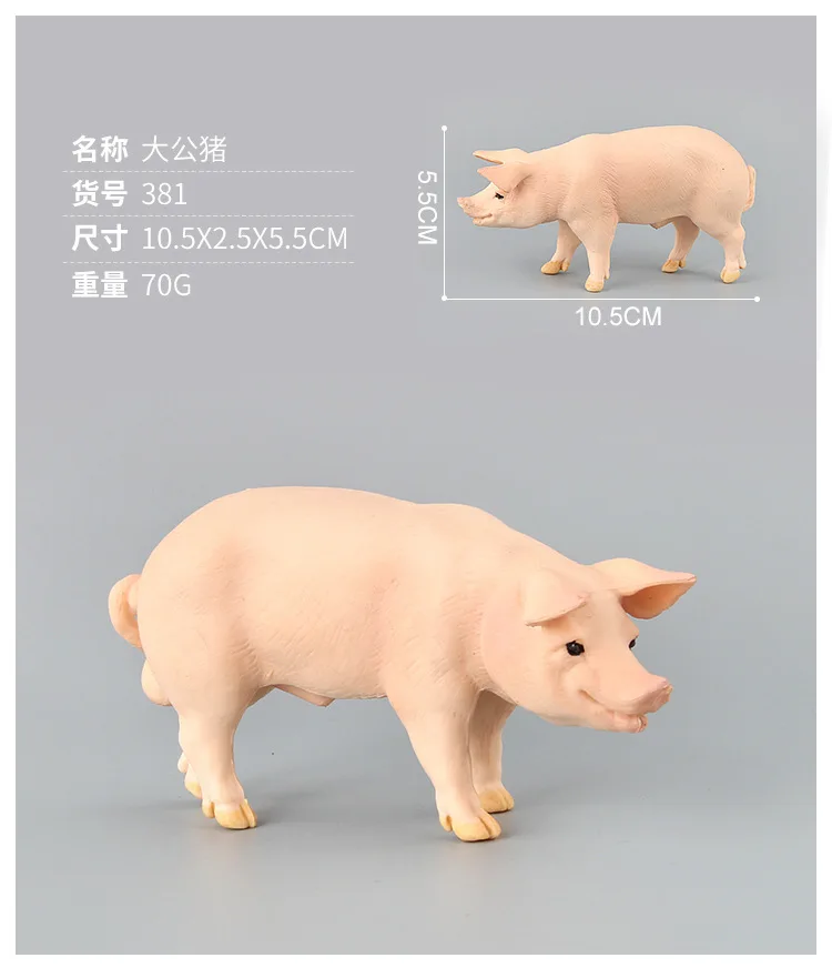 9087569818_1793268619