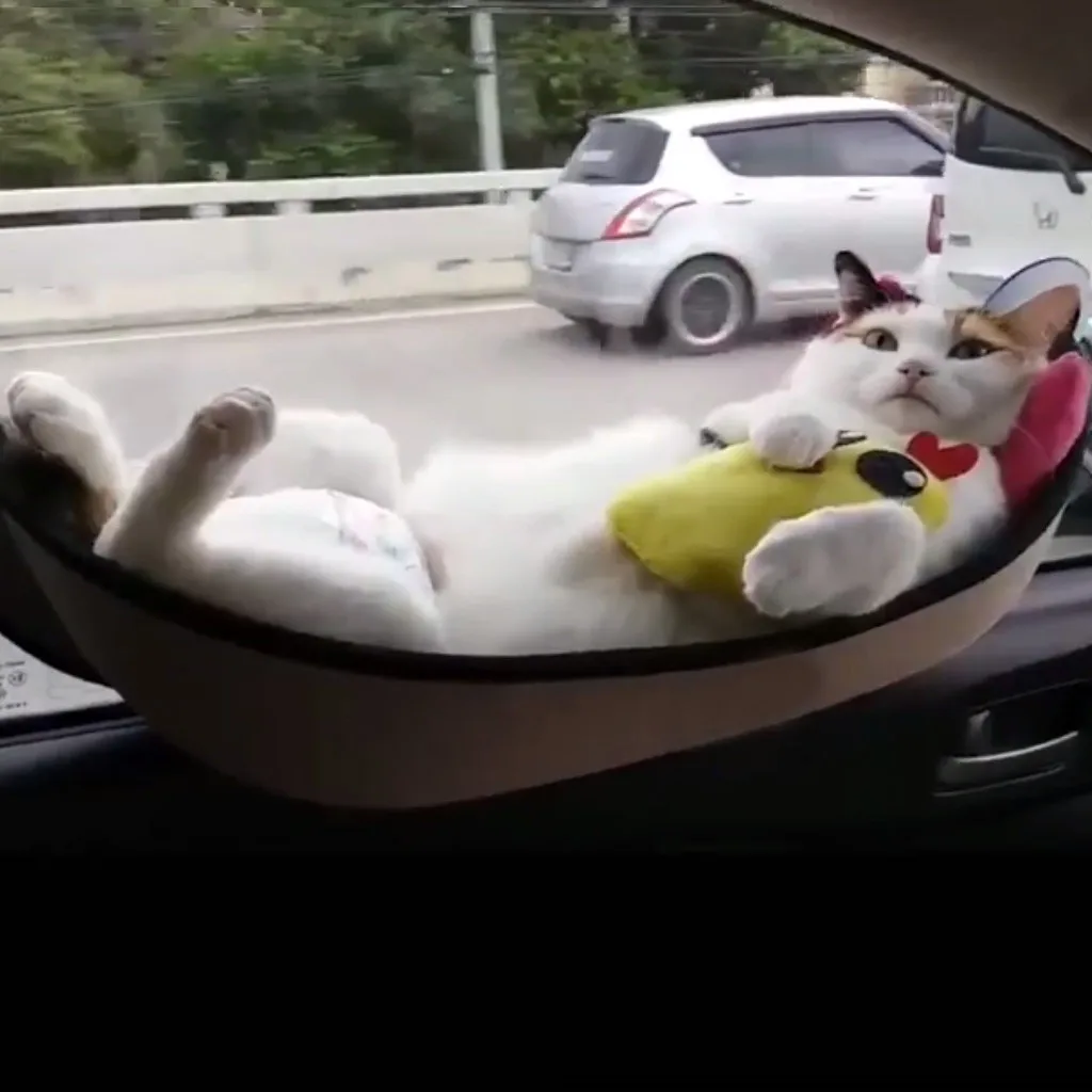 Кошка окно Pod присоска собаки Pet глубокая кроватка для кота