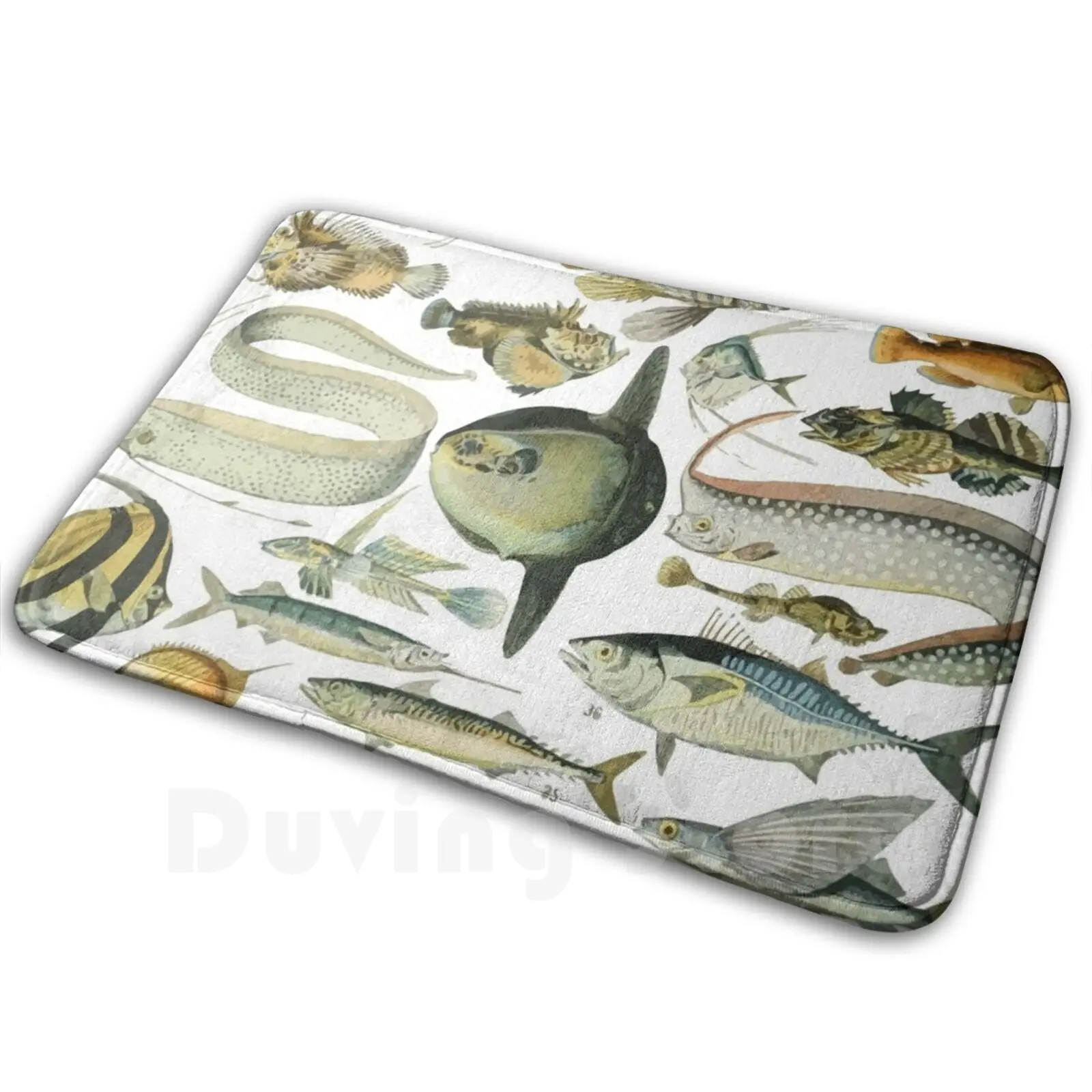 Adolphe Millot Poissons Tappeto Per Pesci Tappeto Tappeto Tappetino Antiscivolo S Camera Da Letto Poisson Pesce Pesce Artista Bellissimo Tappetino H P
