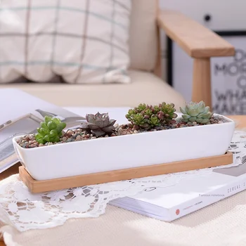 

1 Set Minimalist Geometry White Ceramic Succulent Plant Pot Bonsai Planter Porcelain Flower Pot Home Decor (1 Pot + 1 Stand)