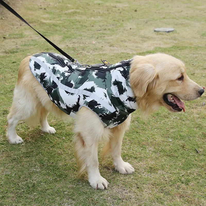 clothes for dogs (3)