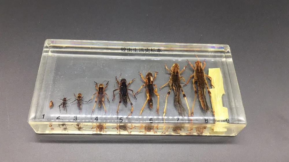 微信图片_20200912112508