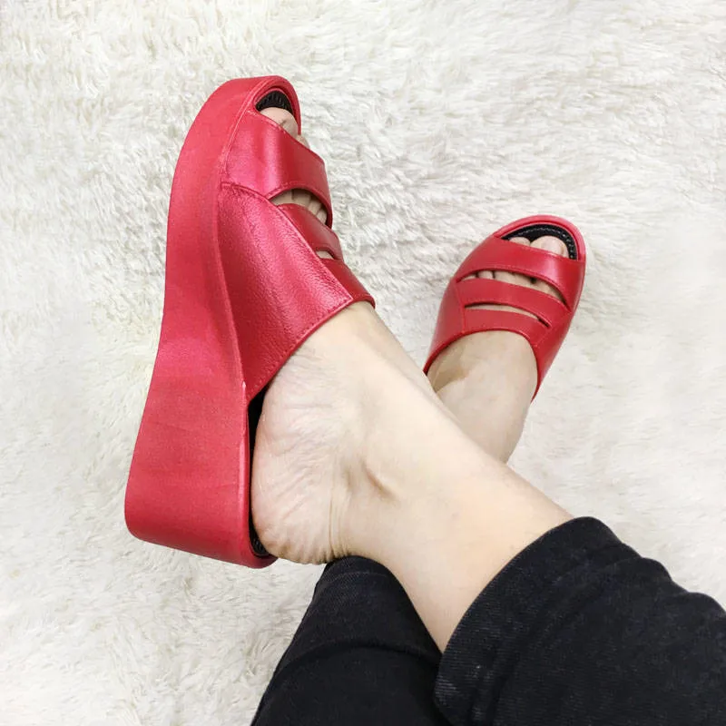 zhu (5)