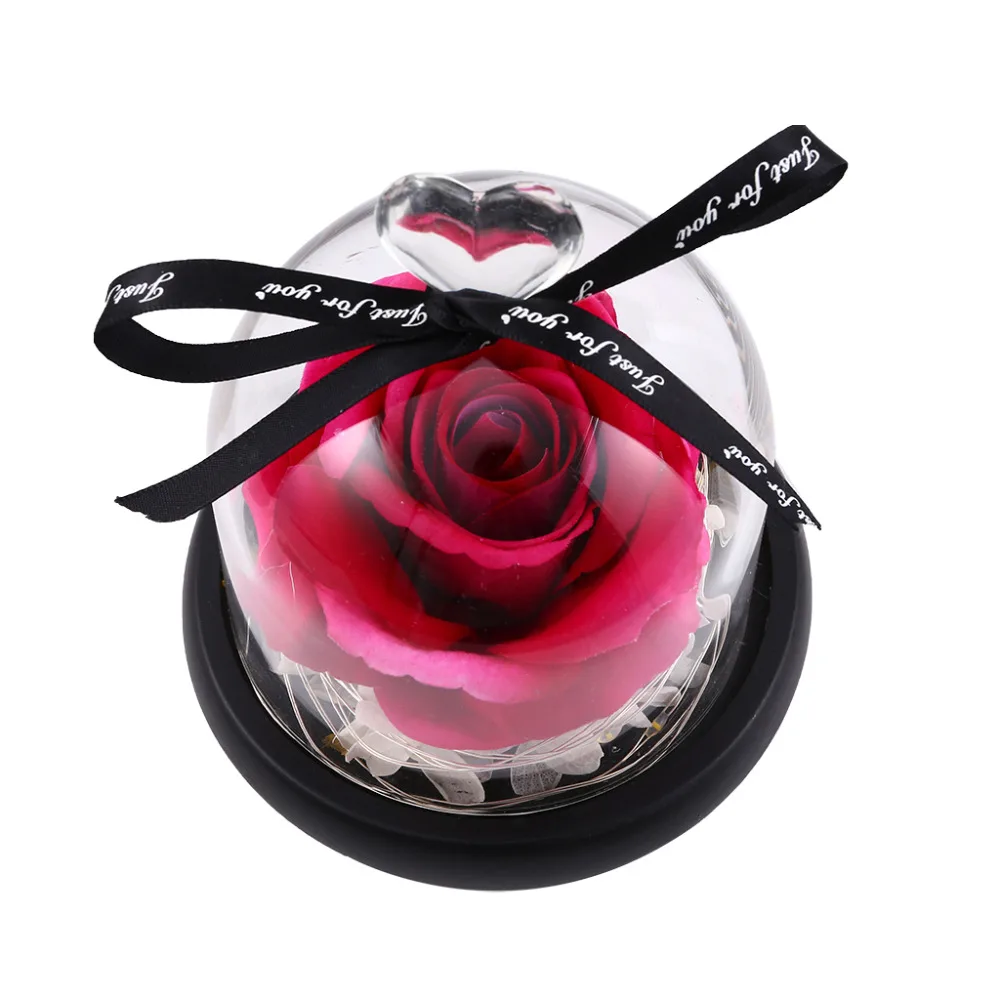 ae67d6602f697c2547a02ba05ddcffe4