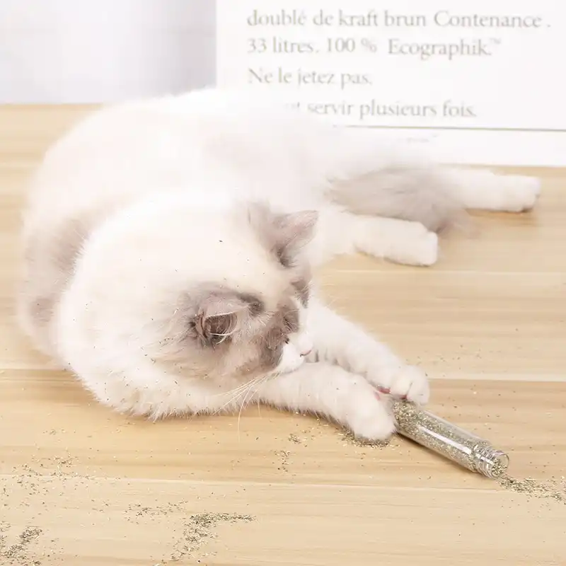 stimulating cat toys