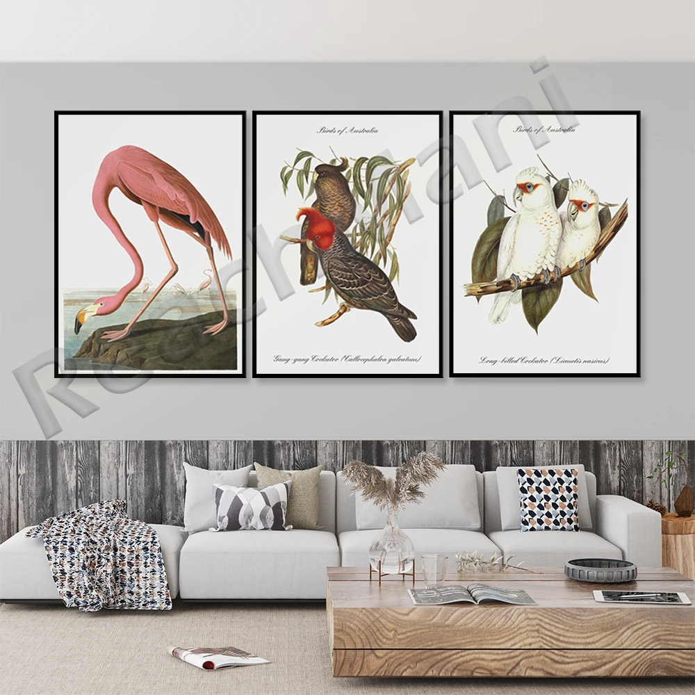 

Vintage Bird Illustration Wall Art Print Instant Download Minimalism Pigeon Poster