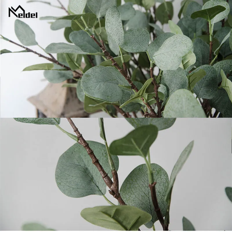 9095892943_1973574989