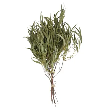 

5pcs ECO natural plants wedding home decor dried eucalyptus stems green plants branches