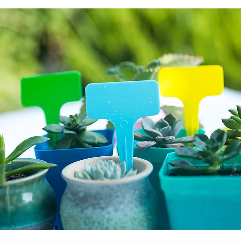 

100 шт. Т-образные утолщенные этикетки для растений садовые цветы маркеры в горшках теги садовая этикетка 12 цветов