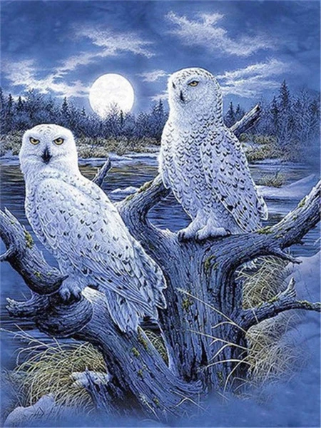 HUACAN 5D Алмазная вышивка животные орел горный хрусталь картина мозаика Живопись картины бисером - Цвет: 2945