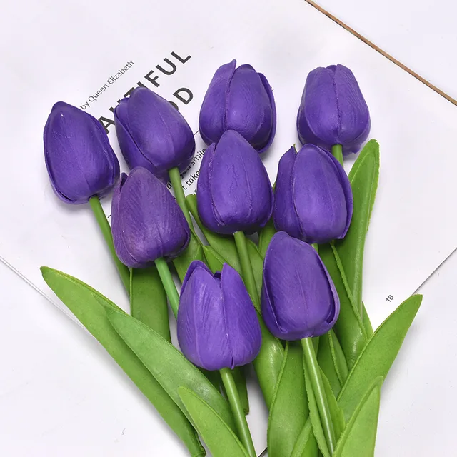 Image 12