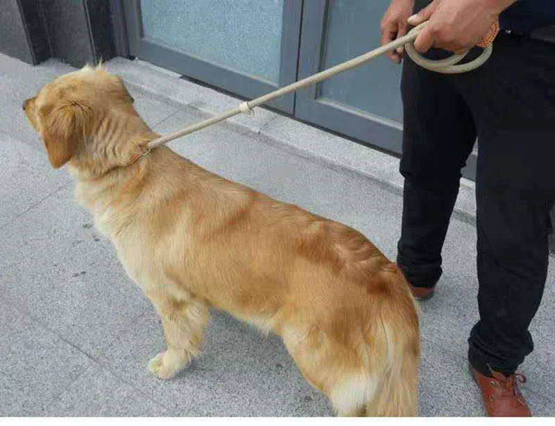 dog leaash changjing 2