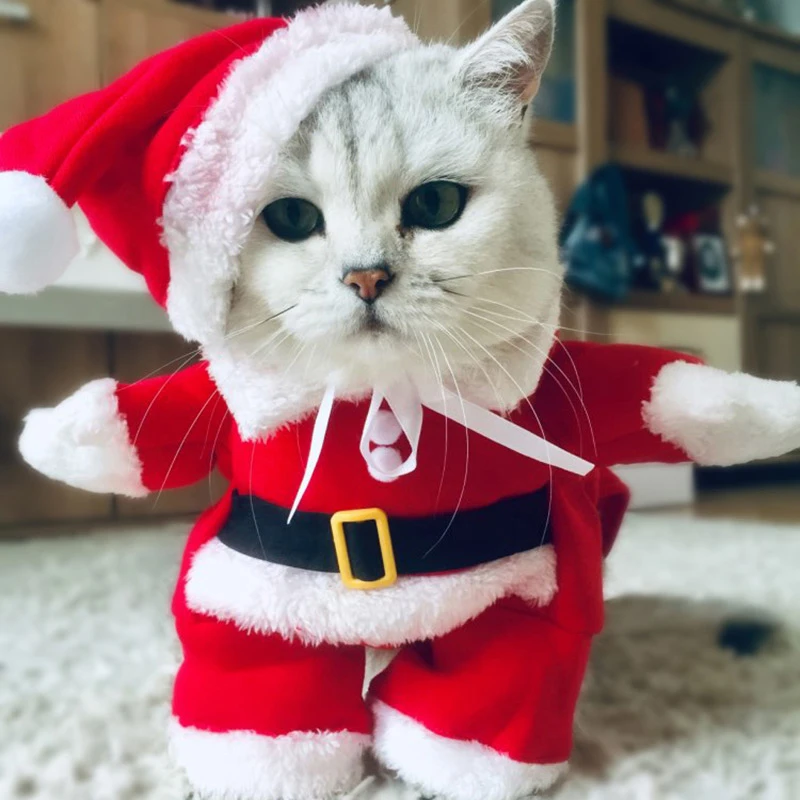 Invierno disfraces de gato mascota trajes para gatos divertidos Santa perros ropa pequeña gatos nuevo gatito Navidad Claus _ - AliExpress Mobile