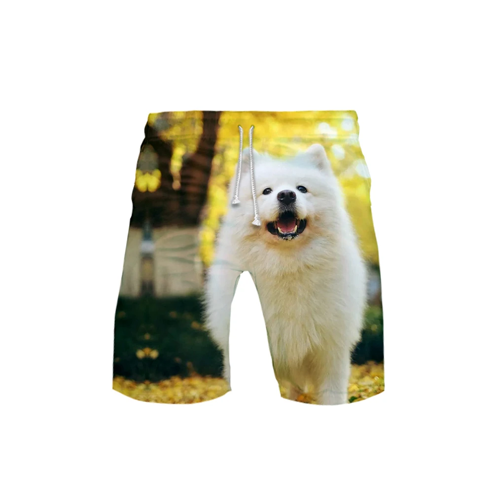 Samoyed 3D шорты летние быстросохнущие пляжные мужские шорты хип хоп бермуды плавающие шорты мужские - Цвет: Небесно-голубой