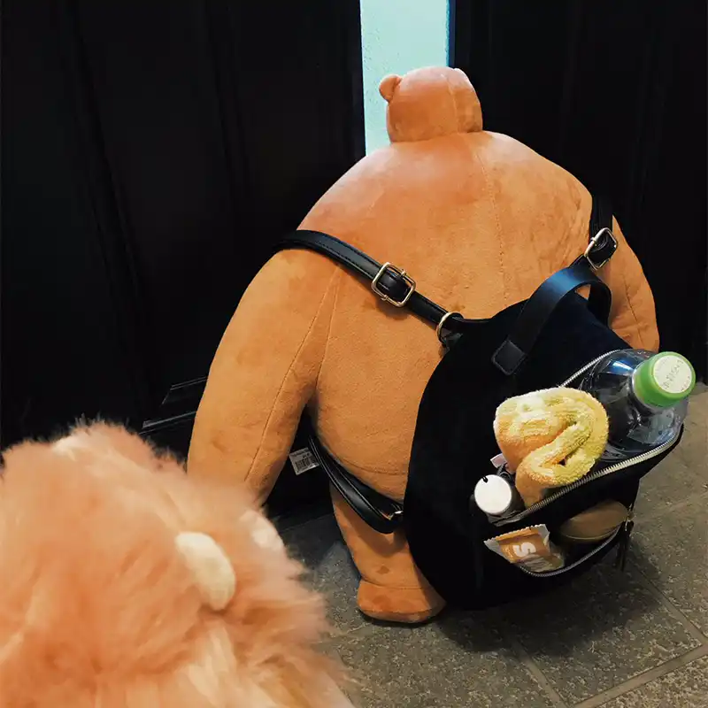 big teddy with small head