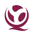 QYTOYS Store