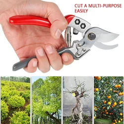 Cisaille à main professionnelle de jardin, outils de coupe pour tondeuse à arbres, outil de coupe pour vergers 