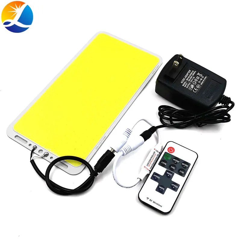 

220x113mm 200W LED Panel Light COB Board with Dimmer DIY Home Outdoor Lighting 12V 110V 220V Dimmable Remote Control LED Lamp
