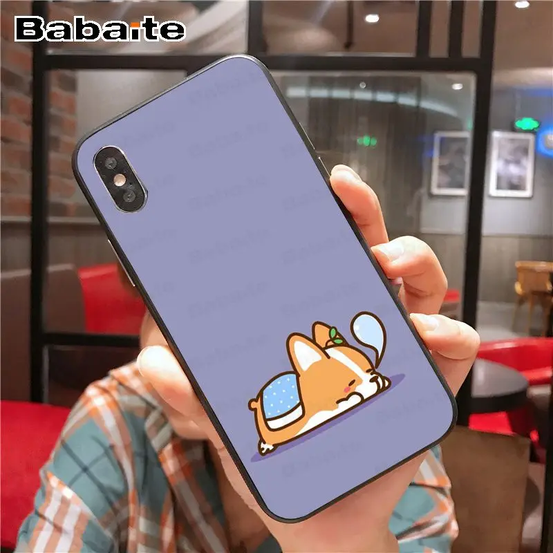 Cartoon Cute Corgi Dog