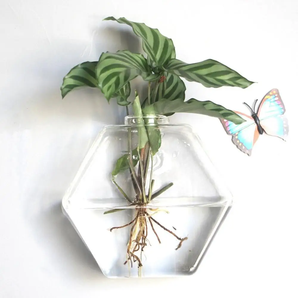 Wall Hanging Hydroponic Glass Vase Transparent Fish Tank Green Plant Plant Pot Creative Home Wall Hanging Decorations