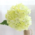 Light Green A
