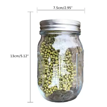 

Sprouting Jar with Stainless Steel Screen Lid Wide Mouth Quart Mason Sprouter M0XD