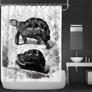 

Antique jeffcyb of Forest Hinge Back Tortoise Kinixys erosa Bathroom Decor Set,038928 with Hooks,36''W x 72''H