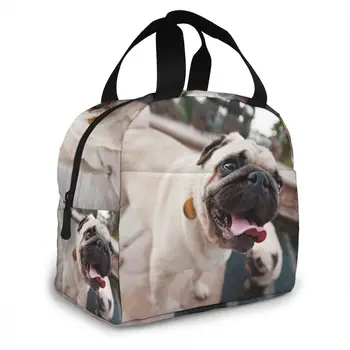 

NOISYDESIGNS Fashion Lunch Bags Animals Dogs Printing Women Picnic Food Bag For Kids Large Bolsa Termica Loncheras Para Mujer