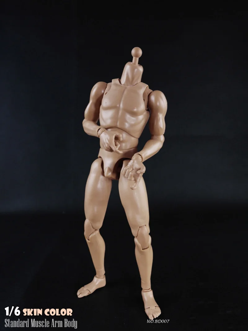 COOMODEL 1/6 Male Standard Muscle BD008 Action Figure Body Doll 12" Model Toys 