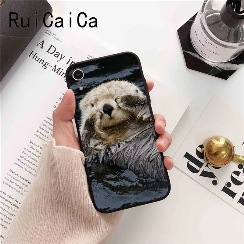 lovely cute Otter water animal