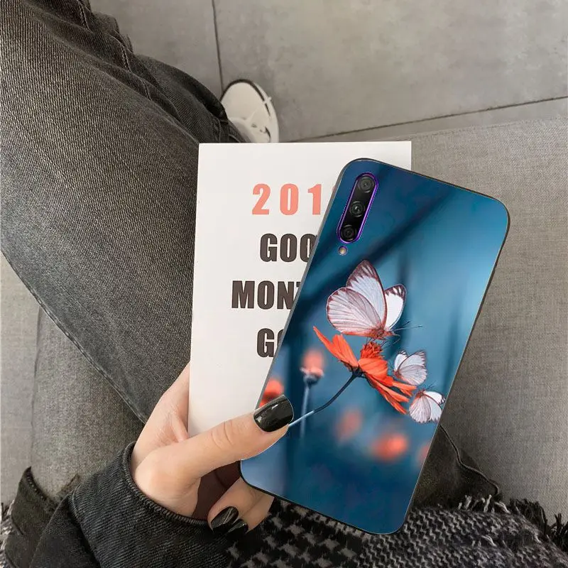 Red butterfly on white roses flower