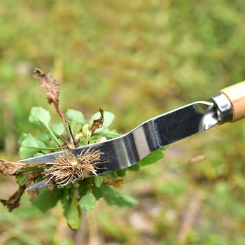 

Garden Metal Forked Head Manual Weeder With Wood Handle Seedling/Grass Taproot Digging Puller Tools Planting&Weeding Accessories