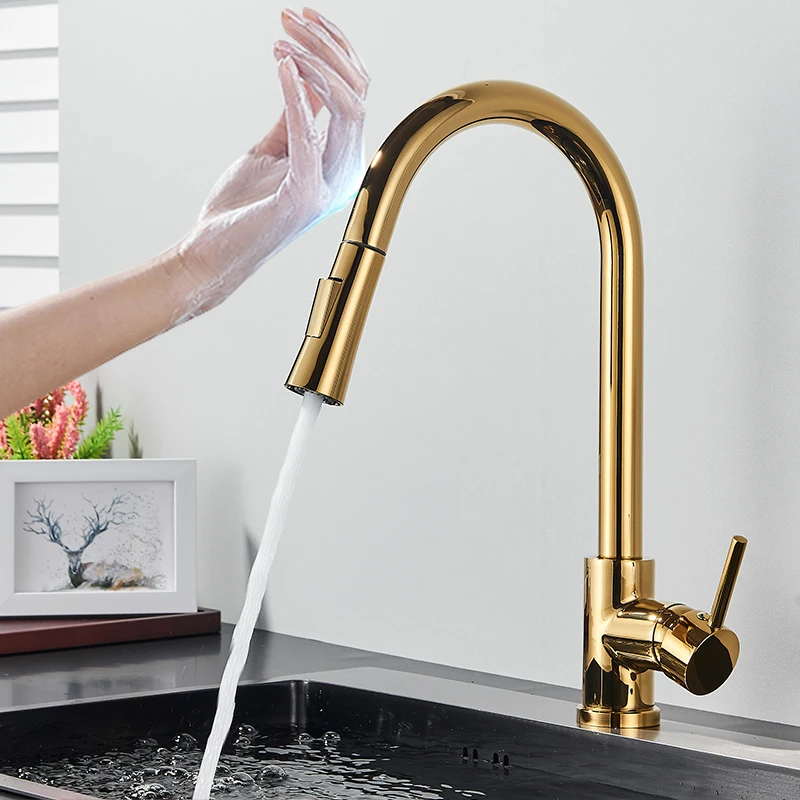 Matte Black Touch Sensor Kitchen Faucet Pull Out Smart Sensor Kitchen Faucet Double Water Mode Mixer Tap Rotate Hot Cold Crane pot filler faucet Kitchen Fixtures