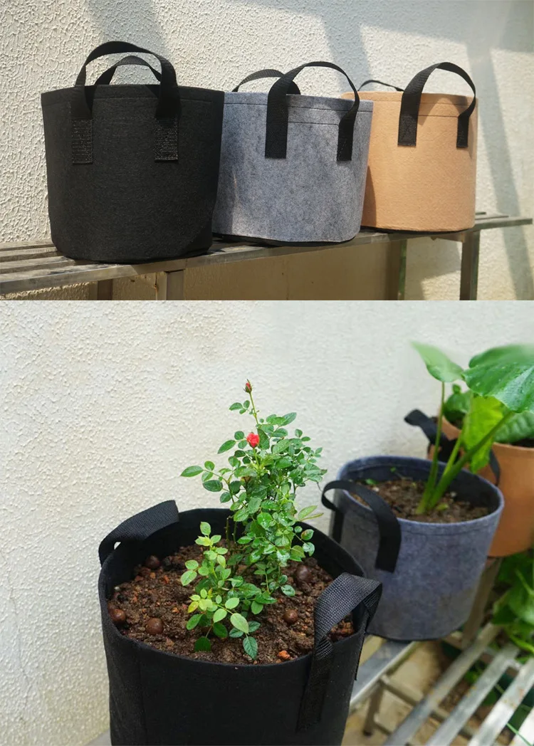 12052422095_1432856766