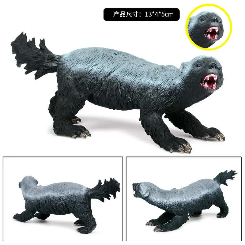 

Model Wild Animal World Honey Badger Model Flat Brother Solid Plastic Children Cognitive Toy Decoration