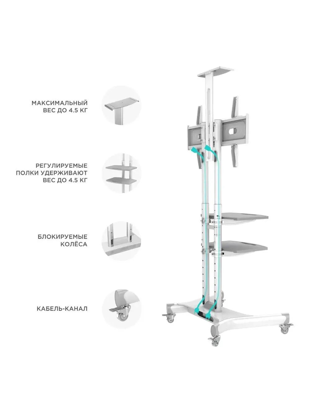ONKRON стойка для телевизора с кронштейном 32"-65", мобильная, белая TS1552
