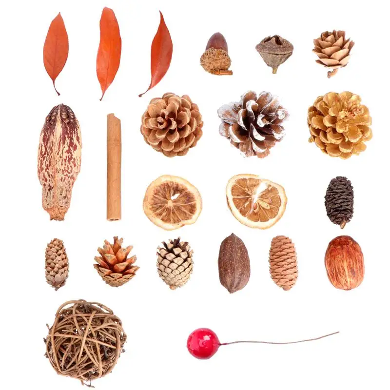

1 Set Pinecone DIY Material DIY Pinecone Raw Material for Party Dorm Store
