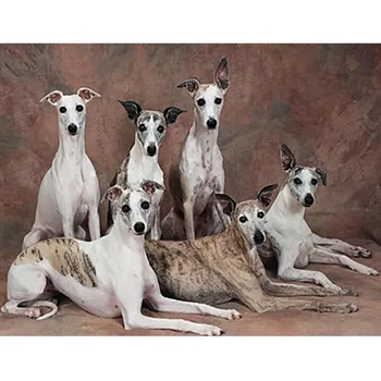 

Diy 5D Diamond Painting Whippet Dog Animal Diamond Embroidery Cross Stitch Full Pattern Cute Pet Mosaic Needlework Art Crafts