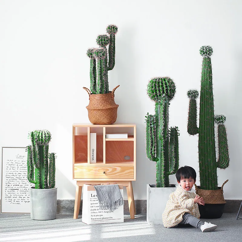 

Model Large Floor Plant Cactus Decoration Creative Potted Plant Green Vegetation Monstera Living Room Decorations And Ornaments