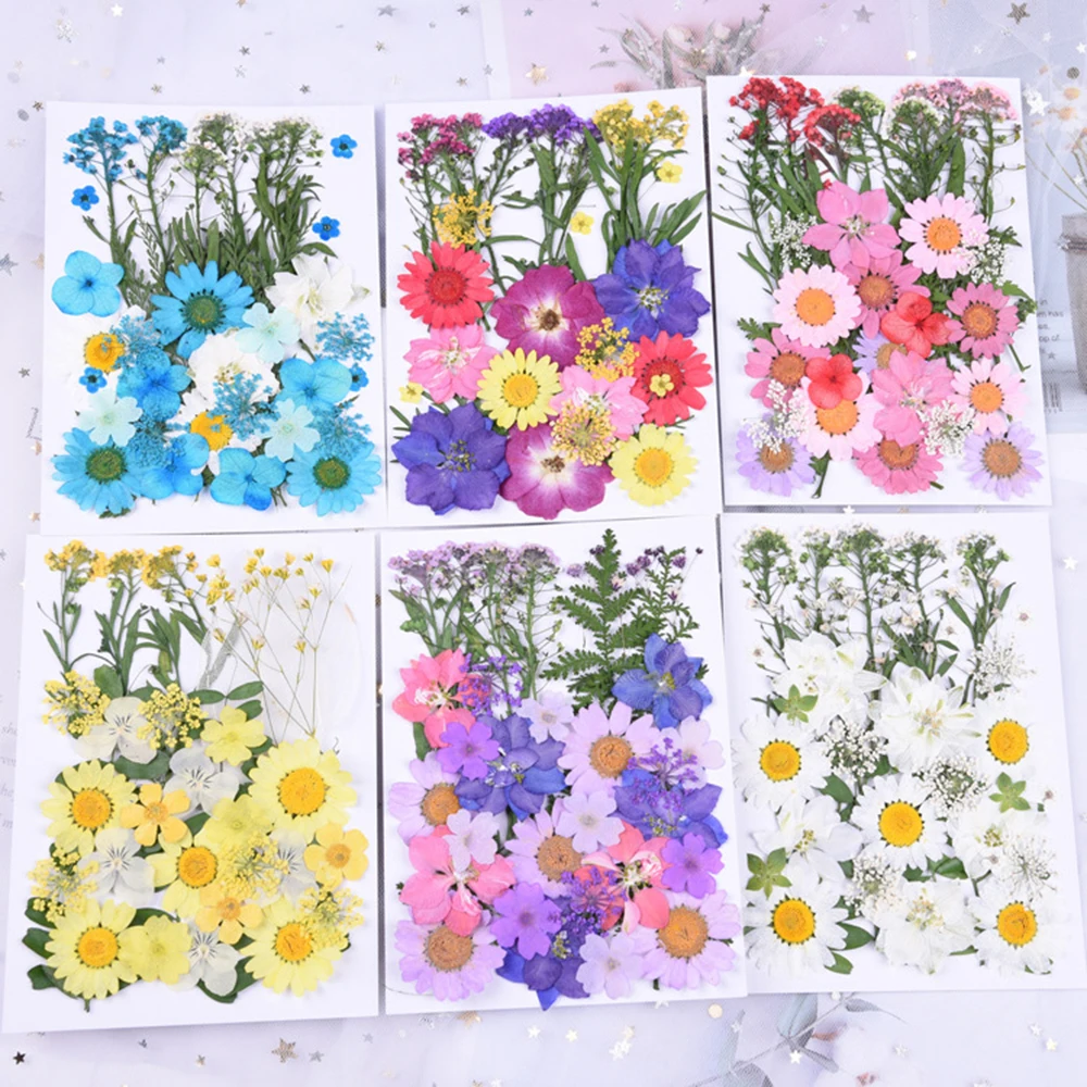 

DIY Dried Flower Pressed Natural Organic Mixed Flower Head Children Adult Decoration Photography Props