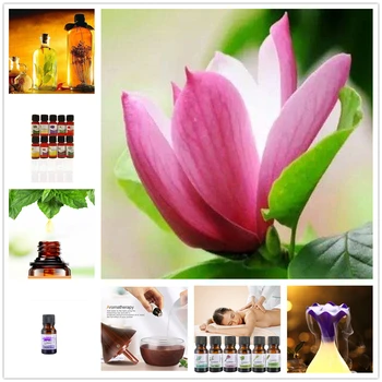 

11 Kinds Essential Oils Aromatherapy Oil for Aroma Diffuser Humidifier Fragrance of Verbena Tea Tree Rosemary Lemongrass Oils