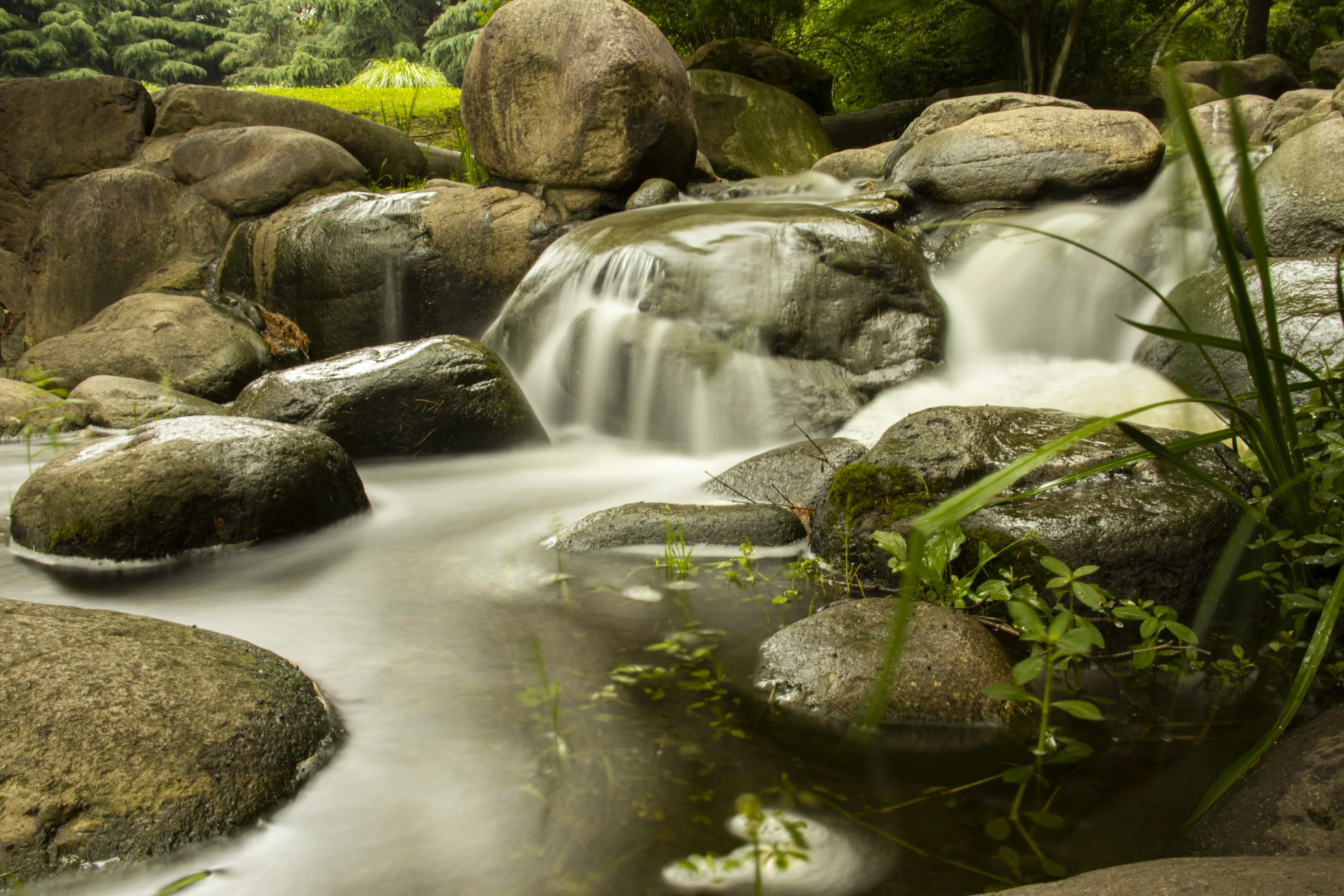 câmera e fotografia