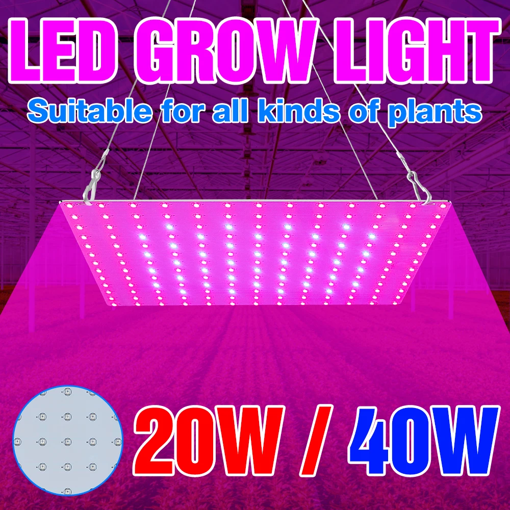 

BiaRiTi 20W 40W Plant Grow Light LED Full Spectrum Indoor Phyto Lamp EU US UK Plug Flower Seed Hydroponics Growing Lights 220V