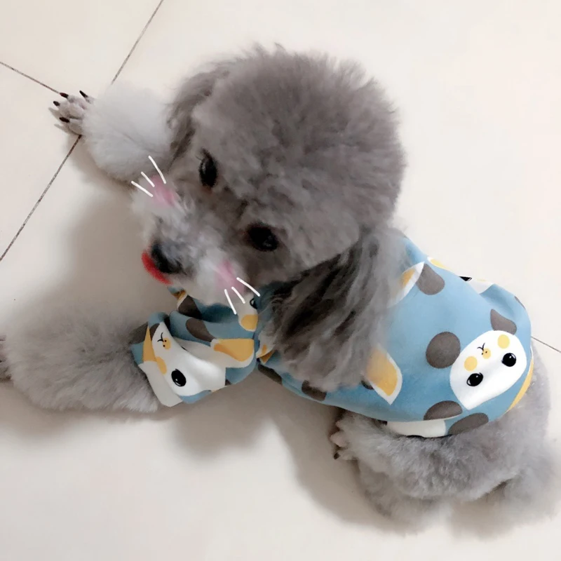 O1CN01U0FZ2Z2GbcY0hhSbT_!!0-rate